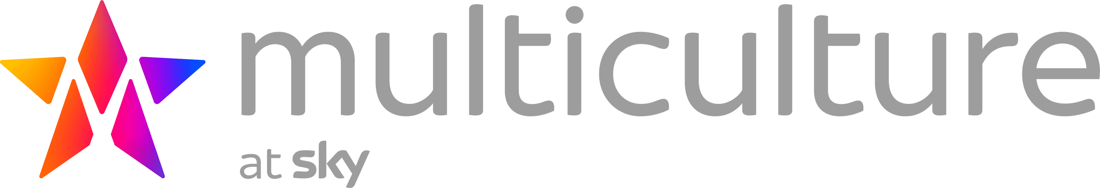 “Multiculture at Sky” logo with grey text and a star composed of multicolored triangular shapes in orange, pink, purple, and blue.