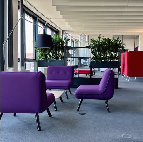 Modern Sky office lounge with purple chairs, plants, and floor-to-ceiling windows.