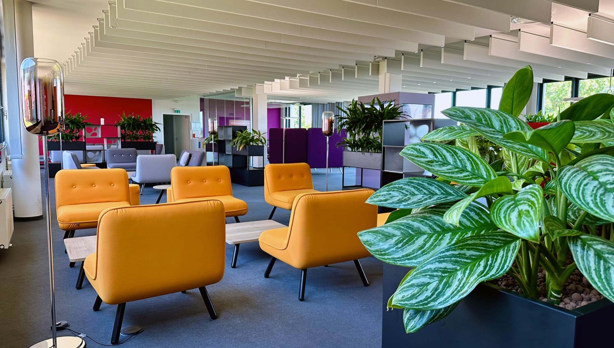 L'area lounge dell'ufficio con poltrone gialle, tavolini da caffè e piante verdi, con pareti luminose e ampie finestre.