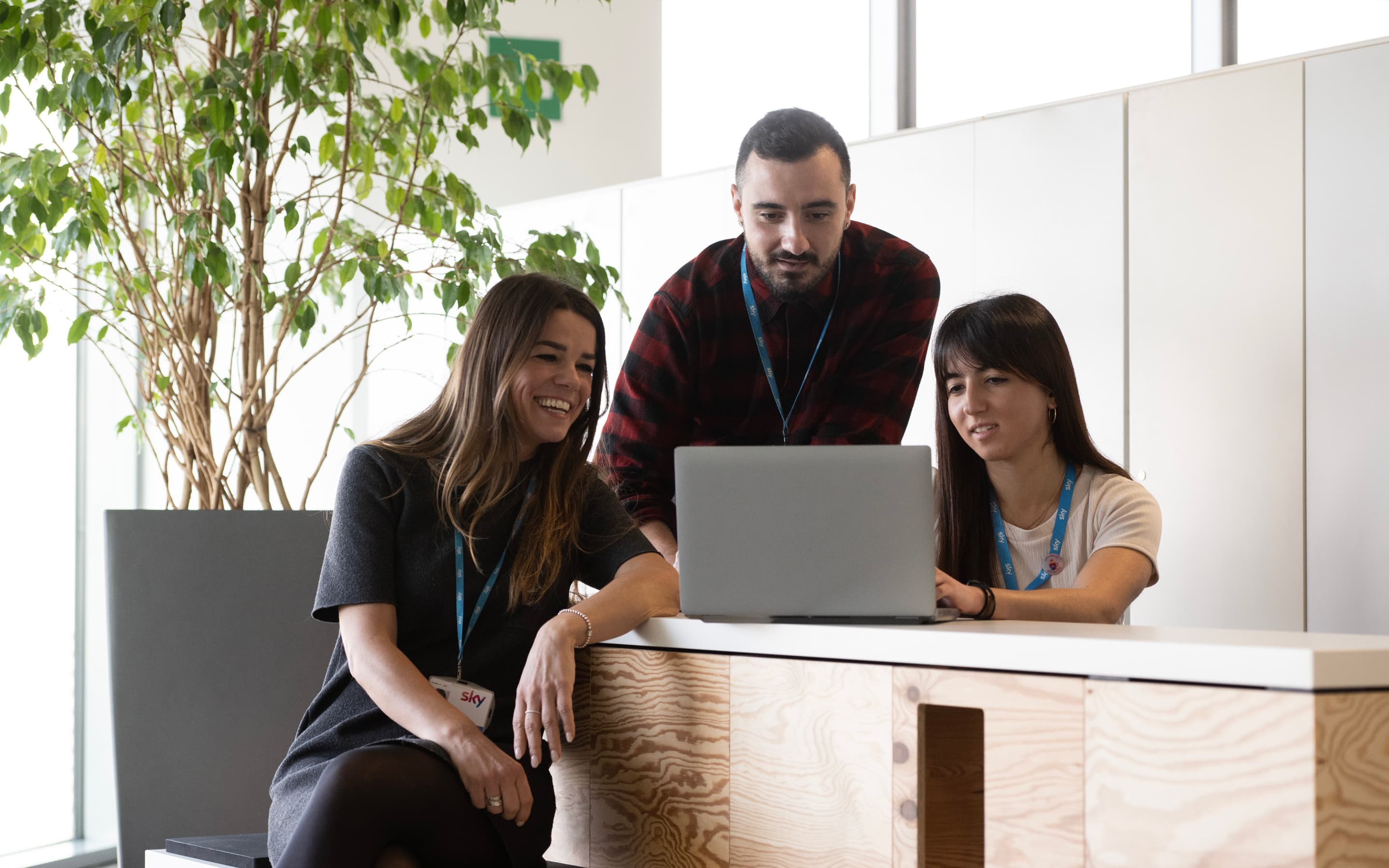 Three colleagues wearing Sky lanyards collaborate around a laptop in a bright office with a large indoor plant.
